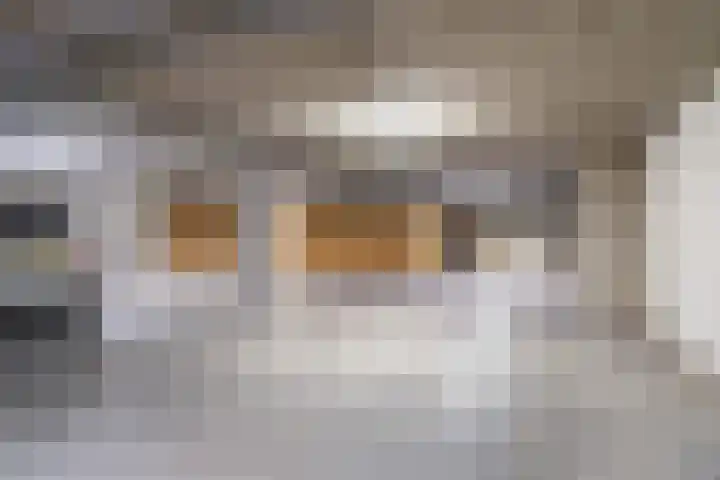 De Beemd 20 Wateringen thumbnail 59