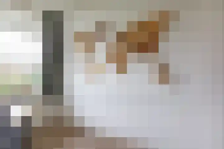 De Beemd 20 Wateringen thumbnail 8