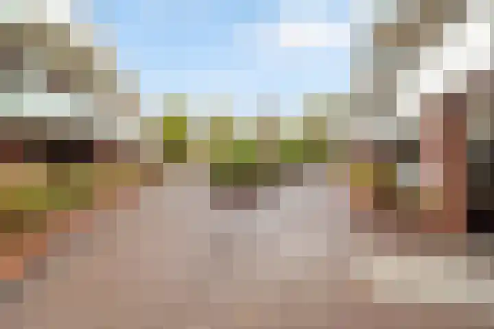 De Beemd 20 Wateringen thumbnail 9