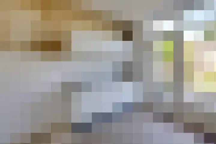 De Beemd 27 Zevenaar thumbnail 21