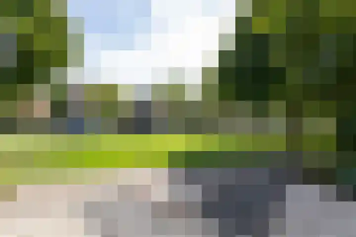 De Beemd 61 Zevenaar thumbnail 11
