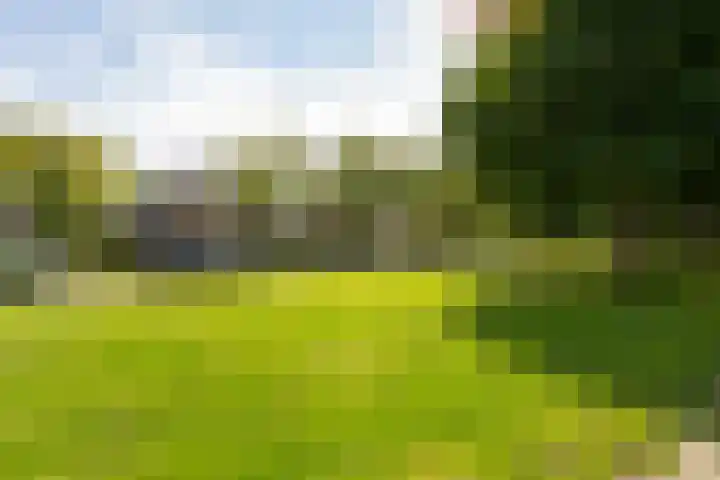De Beemd 61 Zevenaar thumbnail 12