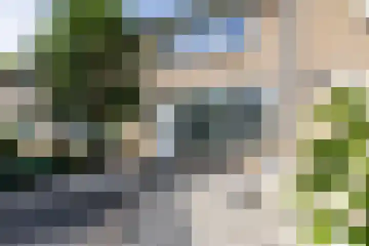 De Beemd 61 Zevenaar thumbnail 13