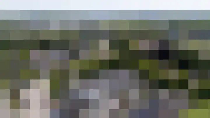 De Beemd 61 Zevenaar thumbnail 6