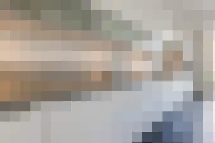 De Beeringen 1 Bemmel thumbnail 11