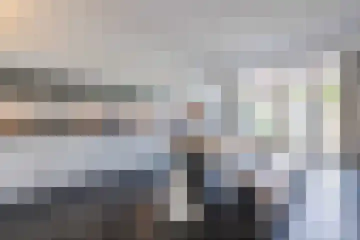 De Beeringen 1 Bemmel thumbnail 14