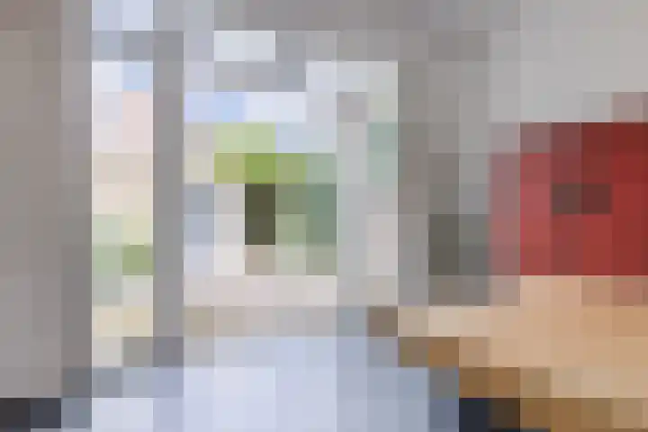 De Beeringen 1 Bemmel thumbnail 21