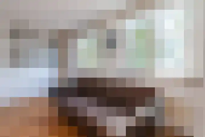 De Beeringen 1 Bemmel thumbnail 27