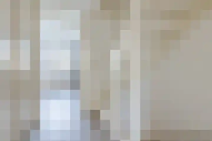 De Beeringen 1 Bemmel thumbnail 30