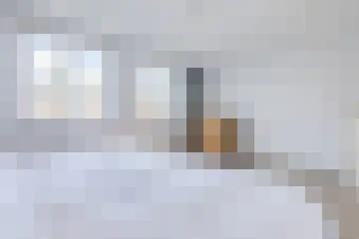 De Beeringen 1 Bemmel thumbnail 33