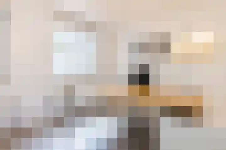 De Beeringen 1 Bemmel thumbnail 34