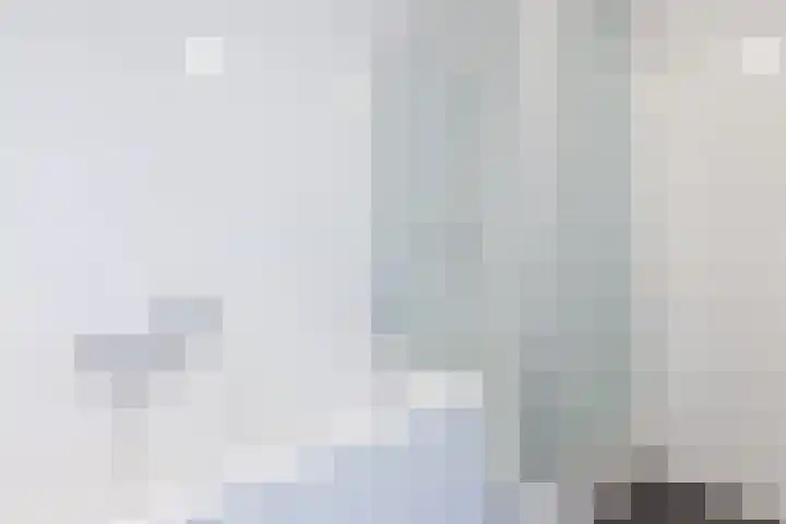 De Beeringen 1 Bemmel thumbnail 37