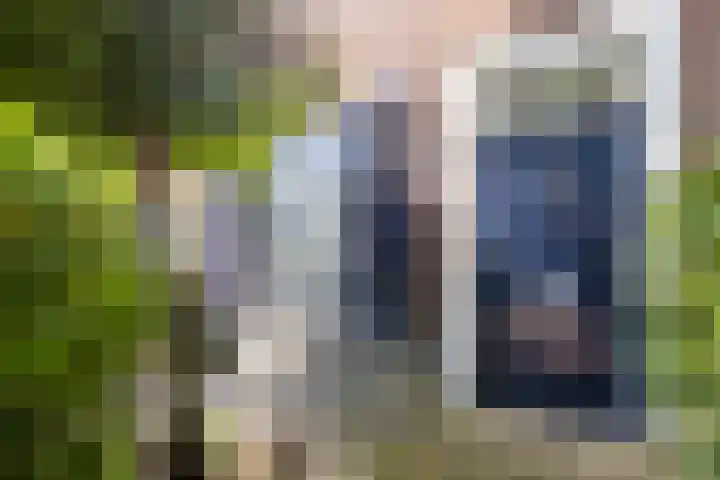 De Beeringen 1 Bemmel thumbnail 4