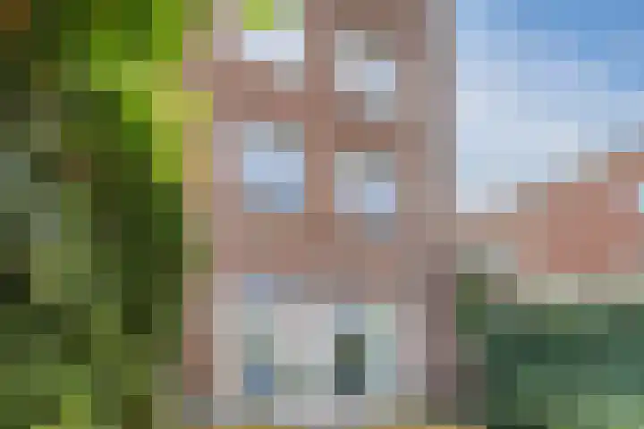 De Beeringen 1 Bemmel thumbnail 49