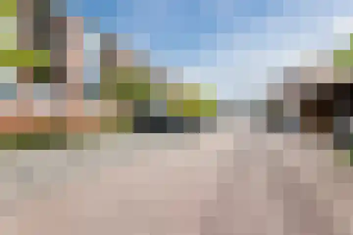 De Beeringen 1 Bemmel thumbnail 50