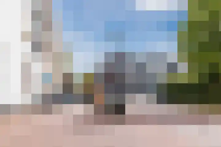 De Beeringen 1 Bemmel thumbnail 51