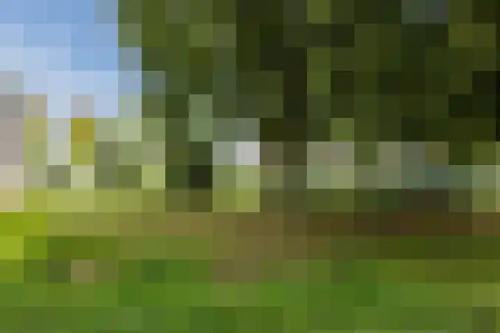 De Beeringen 1 Bemmel thumbnail 52