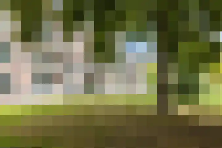 De Beeringen 1 Bemmel thumbnail 53