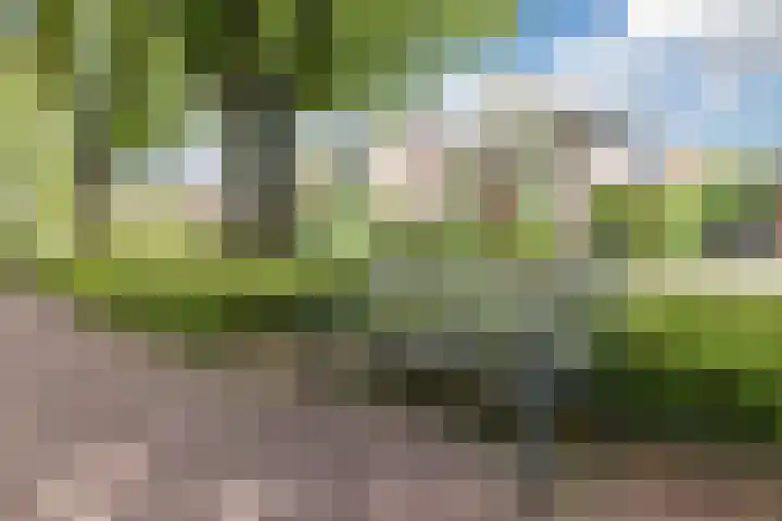 De Beeringen 1 Bemmel thumbnail 55