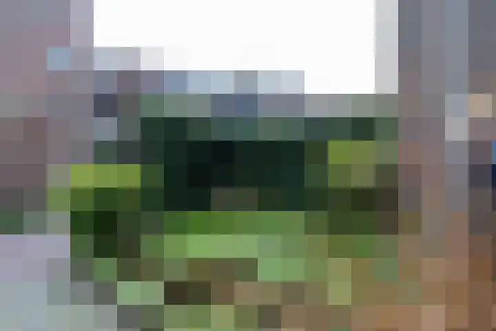 De Beiaard 5 Boxtel thumbnail 15