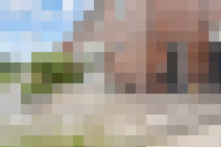 De Bente 18 Zeewolde thumbnail 4