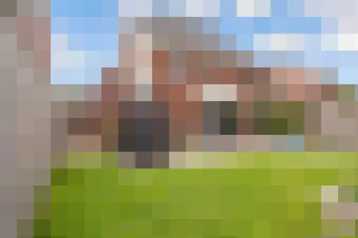 De Bente 18 Zeewolde thumbnail 47