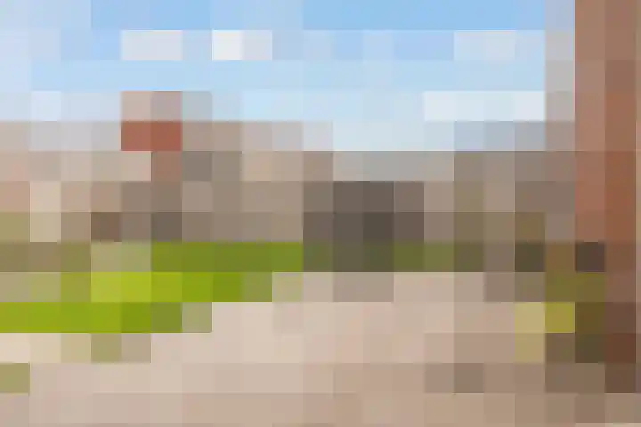 De Bente 18 Zeewolde thumbnail 49