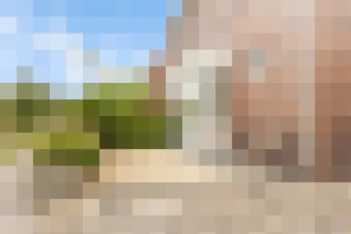 De Bente 18 Zeewolde thumbnail 58