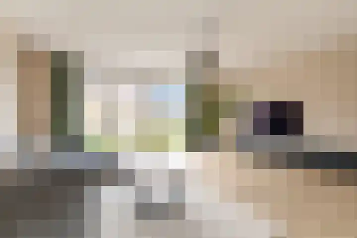 De Bente 18 Zeewolde thumbnail 7