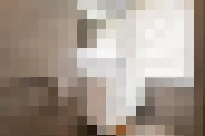 De Bente 2 Zeewolde thumbnail 15