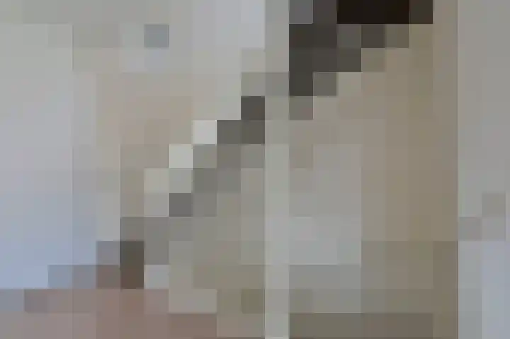 De Bente 2 Zeewolde thumbnail 17