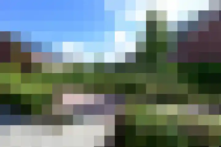 De Bente 2 Zeewolde thumbnail 24