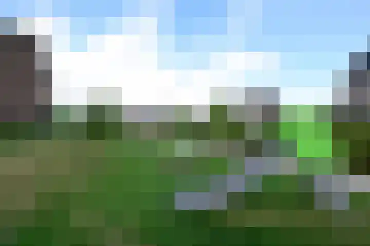 De Bente 2 Zeewolde thumbnail 28