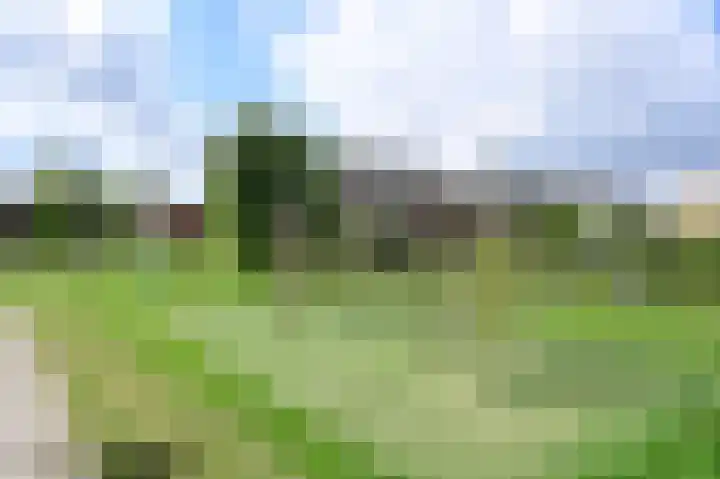 De Bente 2 Zeewolde thumbnail 29