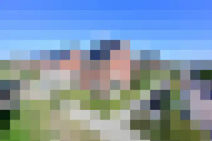 De Bente 2 Zeewolde thumbnail 31