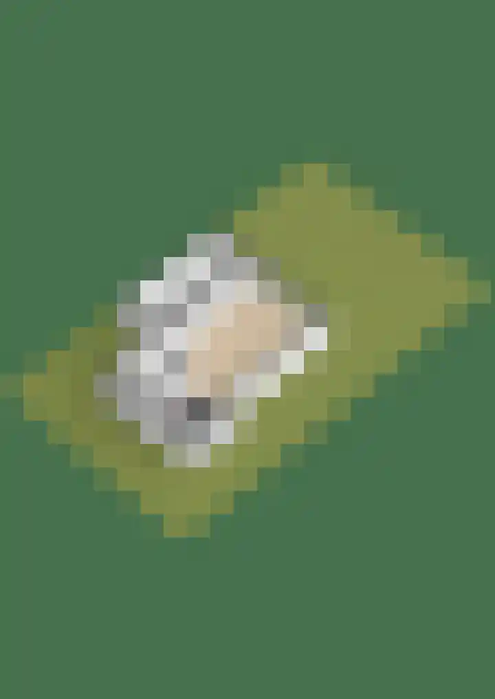 De Bente 2 Zeewolde thumbnail 39