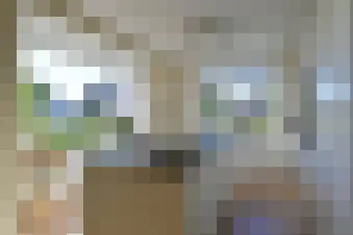 De Bente 2 Zeewolde thumbnail 4