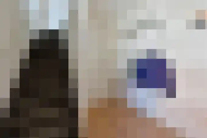 De Bente 2 Zeewolde thumbnail 9