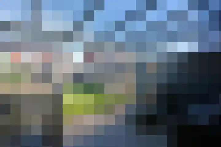 De Bente 32 Zeewolde thumbnail 22