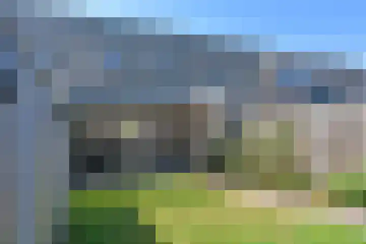 De Bente 32 Zeewolde thumbnail 25