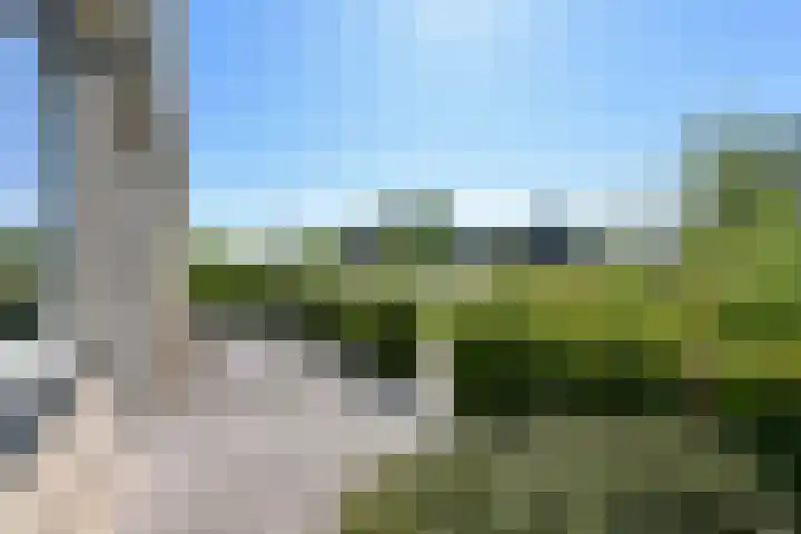 De Bente 32 Zeewolde thumbnail 26