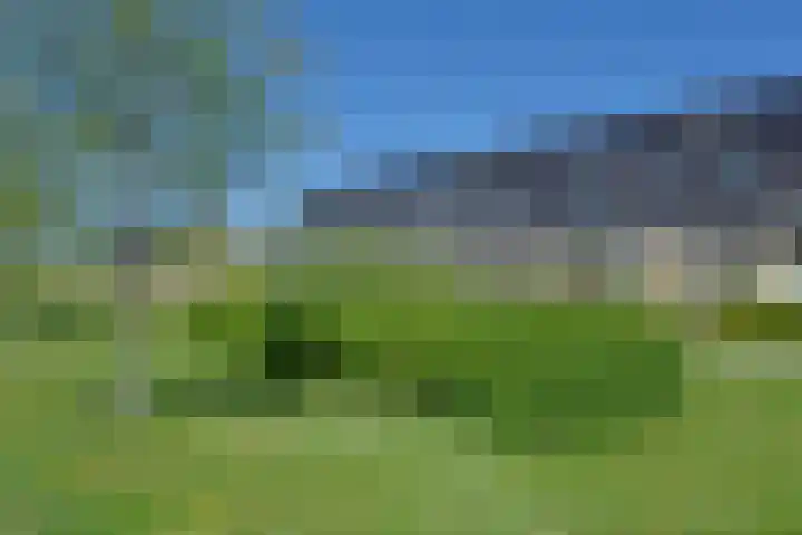 De Bente 32 Zeewolde thumbnail 28