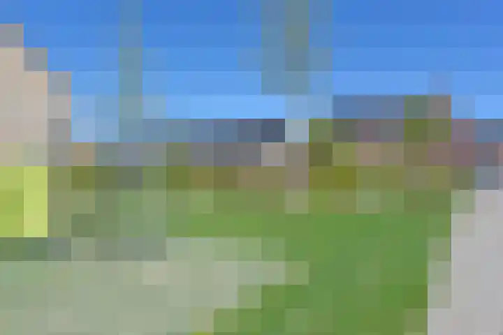 De Bente 32 Zeewolde thumbnail 30