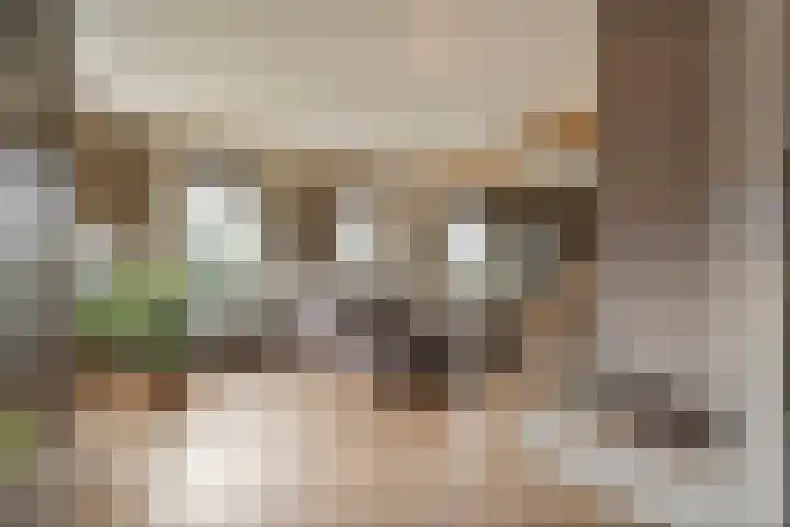 de Bente 33 a Dalen thumbnail 11
