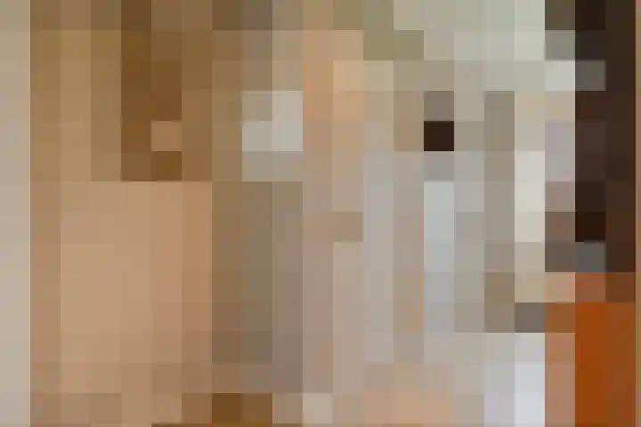 de Bente 33 a Dalen thumbnail 22