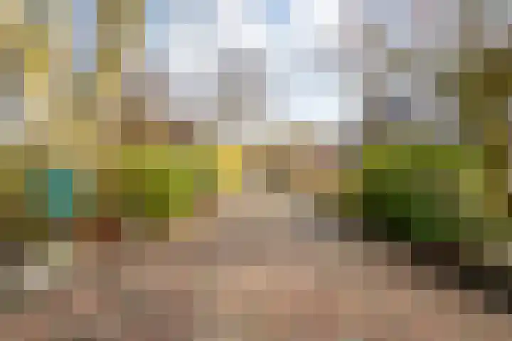 de Bente 33 a Dalen foto 3