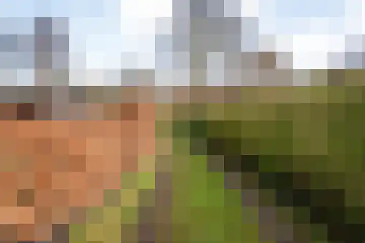 de Bente 33 a Dalen thumbnail 39