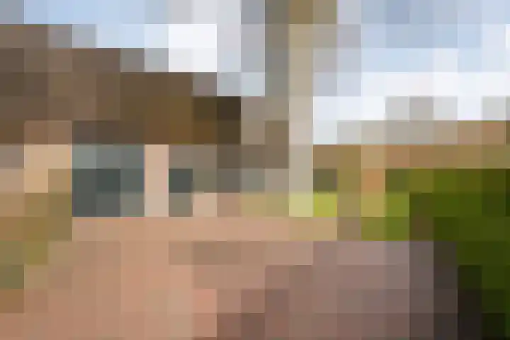 de Bente 33 a Dalen thumbnail 4