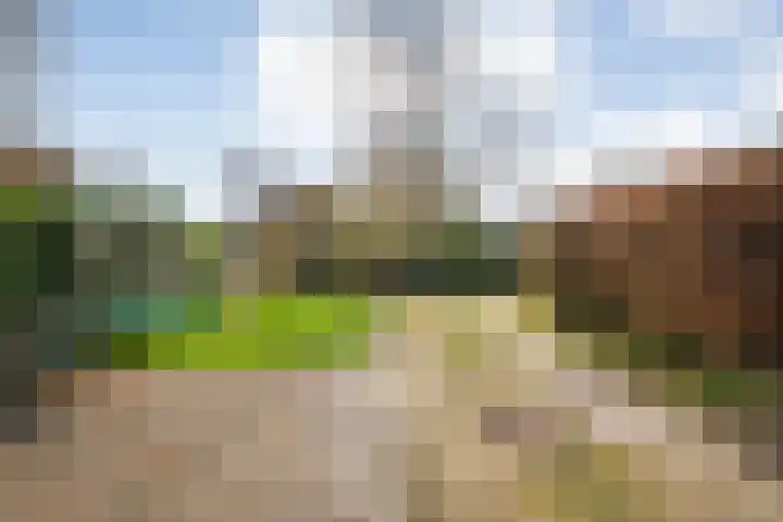 de Bente 33 a Dalen thumbnail 41