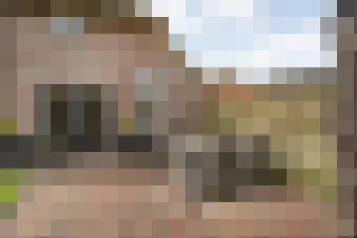 de Bente 33 a Dalen thumbnail 44